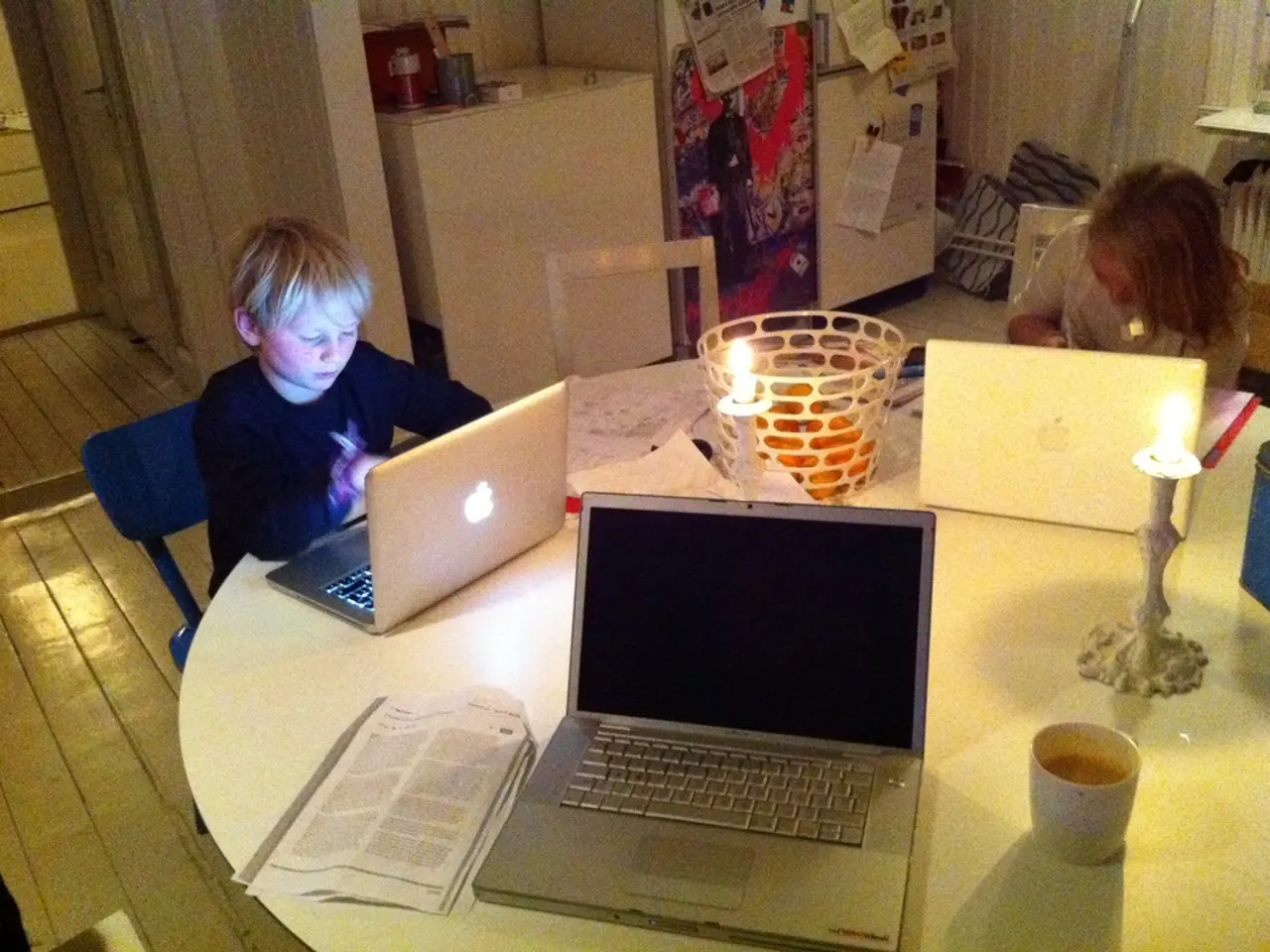 Enhancing At-Home Education - Suggestions for a Deeper Understanding in Science Subjects