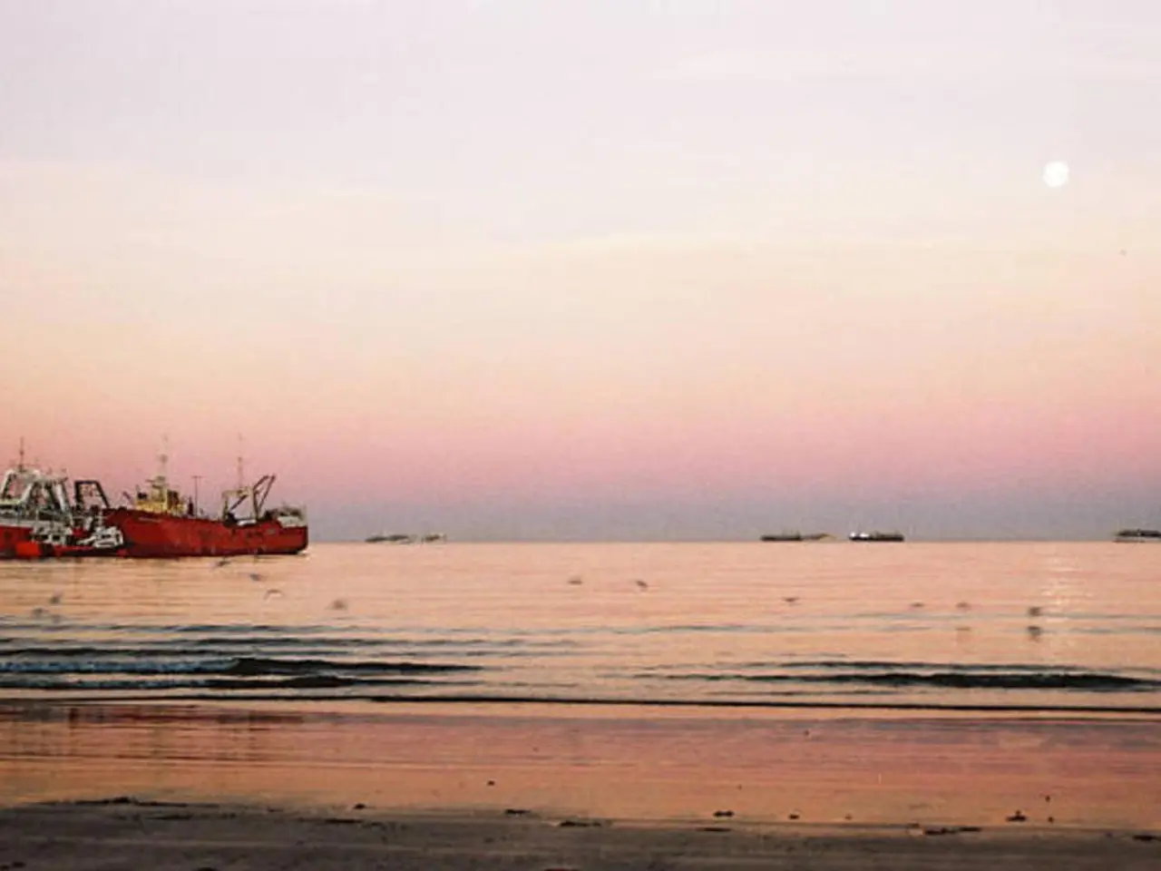 "Online Questionnaire titled 'Trail of the Seaforthers'"