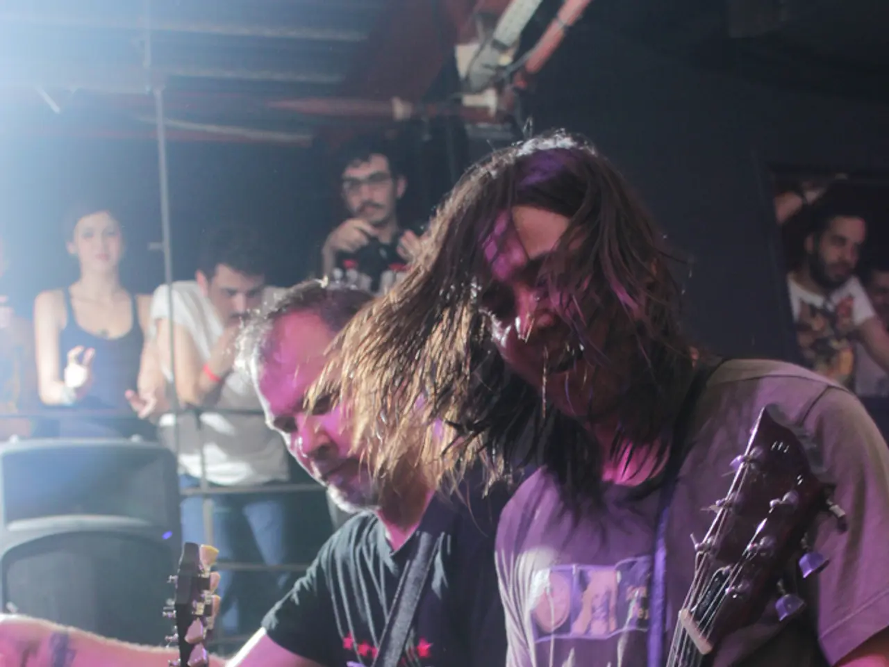 Thriving Independent Musicians Without the Need for a Record Company