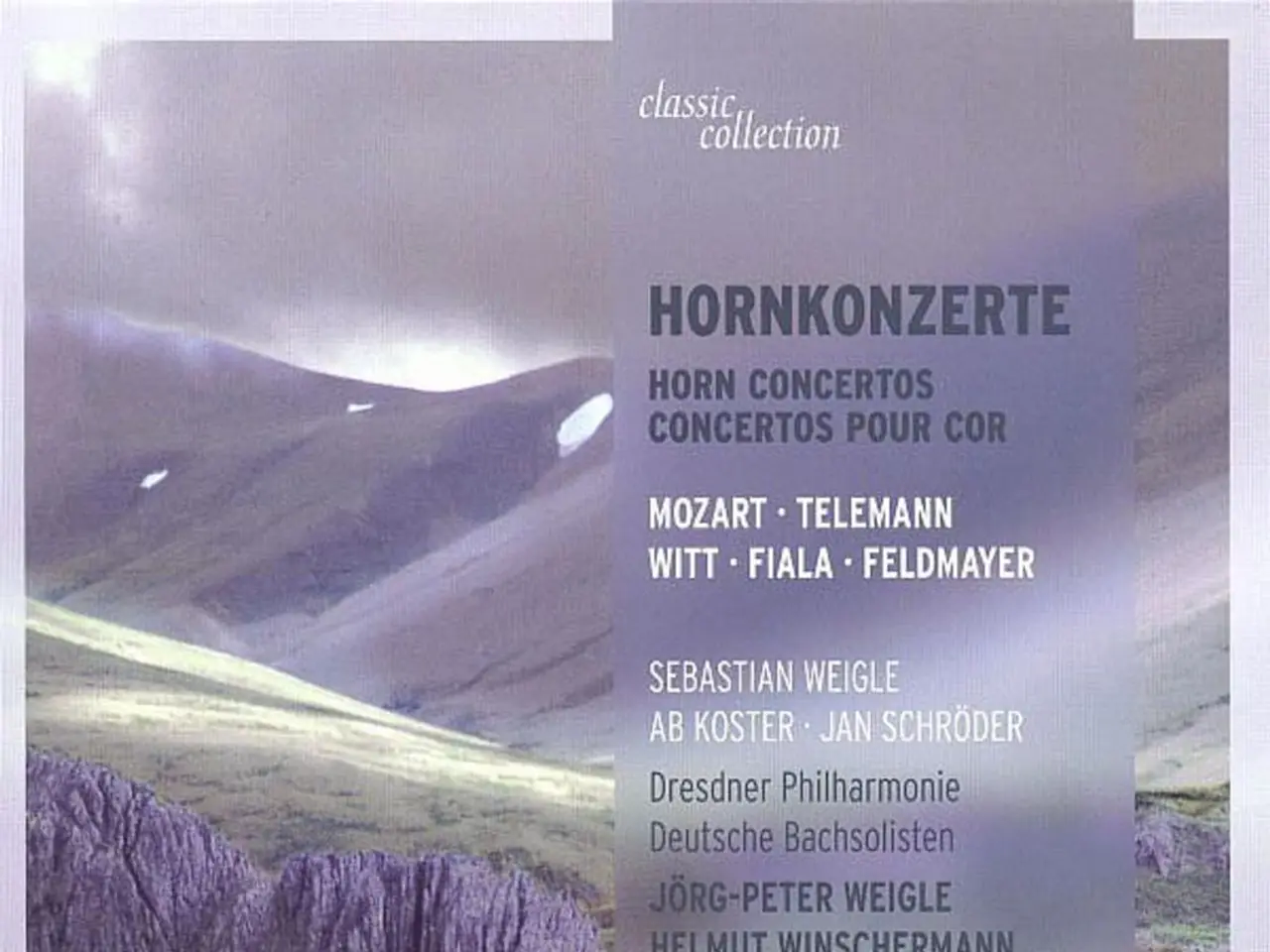 Rachel Cargle Discusses Educational Aspects of Environmental Racism