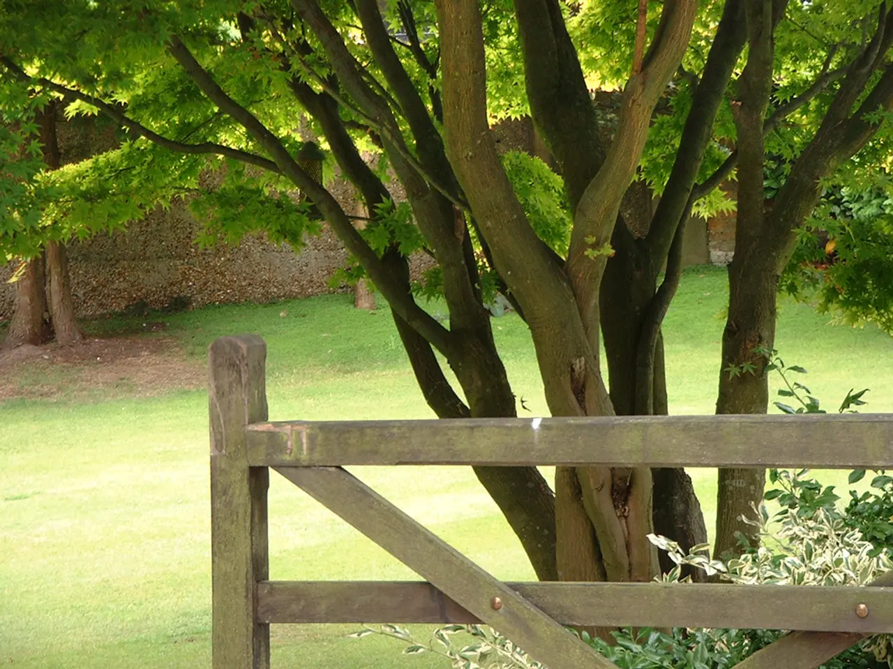 Top 5 Emerging Phenomena Shaping the Sustainable Shift and the Eco-friendly Marketplace