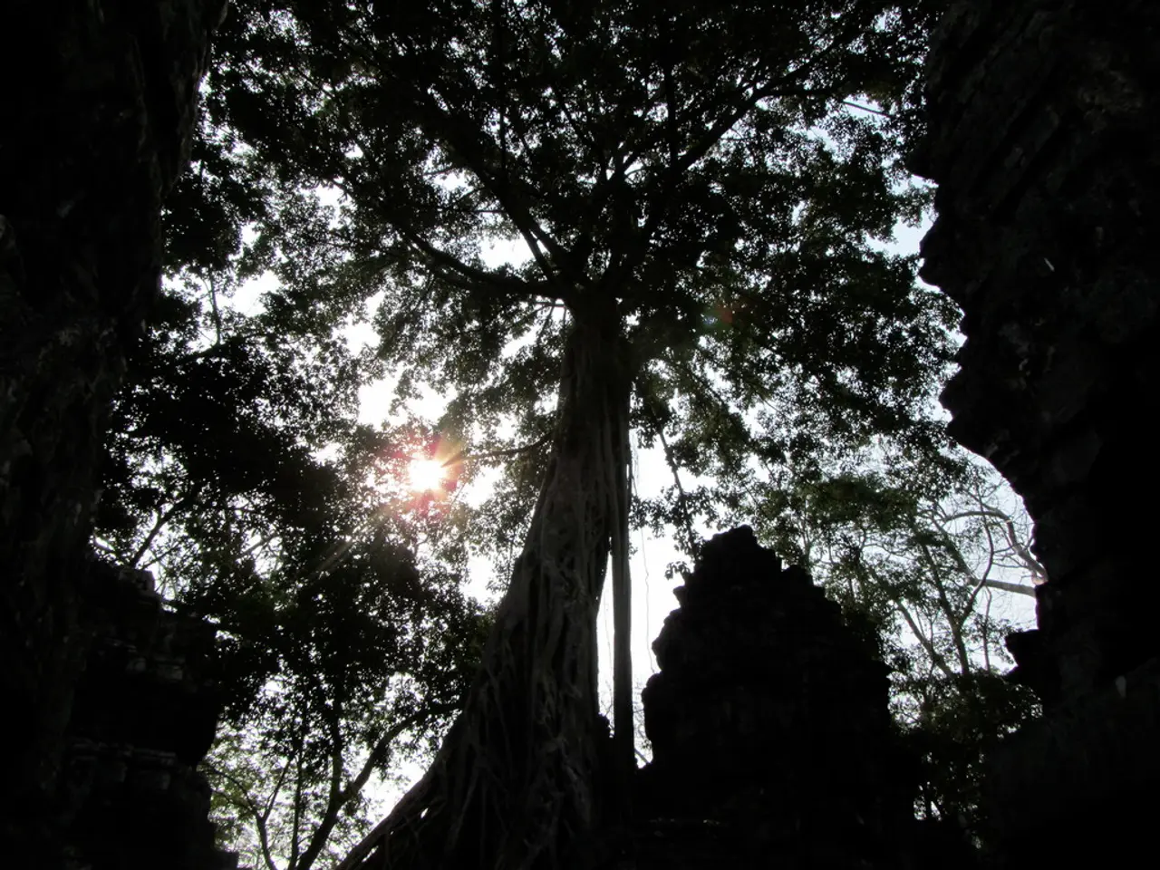 In this image we can see few monuments. There are many trees in the image. There is a sun and a sky...