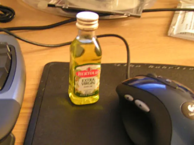 The Fascination of Repeat Patterns: Habits, Regularities, and Brain Adaptability