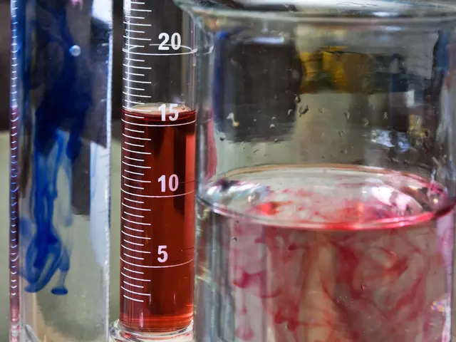 Water filtration experiment for a school science project