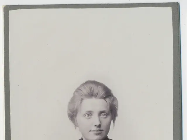 Film Structural Comparison: Exploring Significant Variations between Storyline and Plot