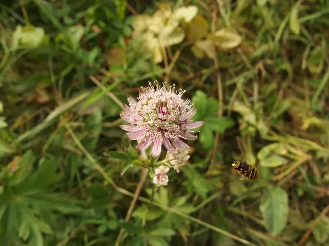 Options for resolutions lower than 1080