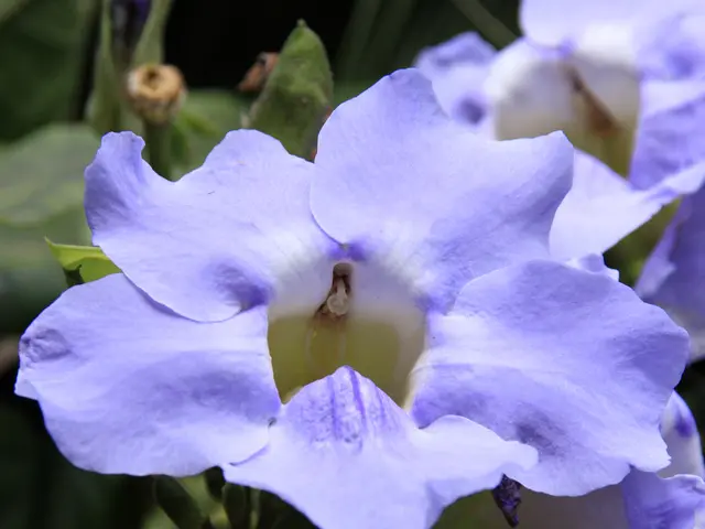 Daily Rituals for a Better Morning: Enhance Your Day with These 4 Effortless Practices