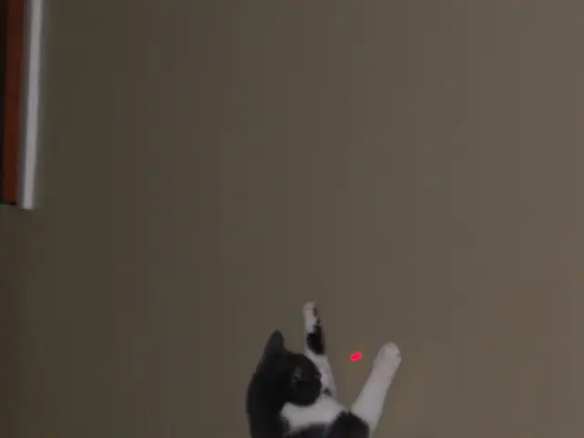 Smarter Production tool from xTool: Redefining Creative Workflows