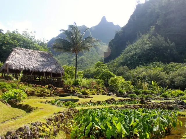 Back aches and gas buildup: Origin, signs, and remedies