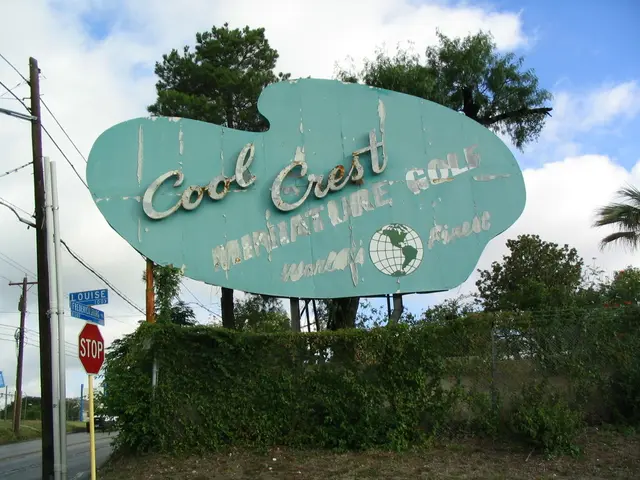 Developing Expertise in IOC Cybersecurity: An Insight from Tech Enthusiasts' Point of View