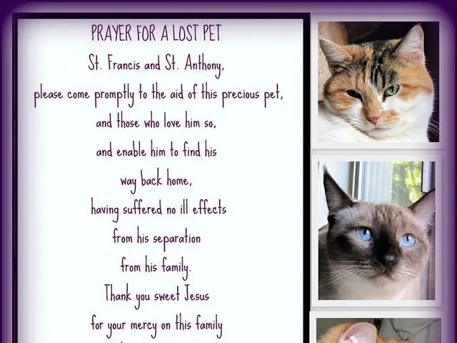 Interpreting the hidden symbolism in dreams featuring small, velvety feet