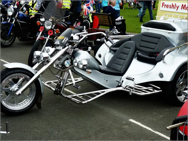 Encouraging daily movement and physical activities for improved agility and general fitness