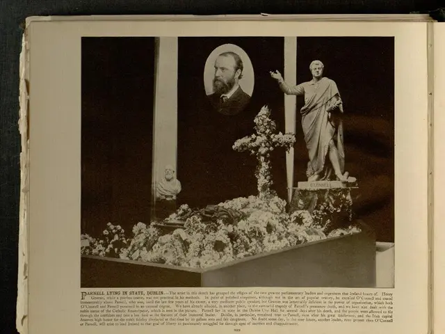 2025 HTET Admit Cards Now Available at bseh.org.in – Download Your Haryana Teacher Eligibility Test...