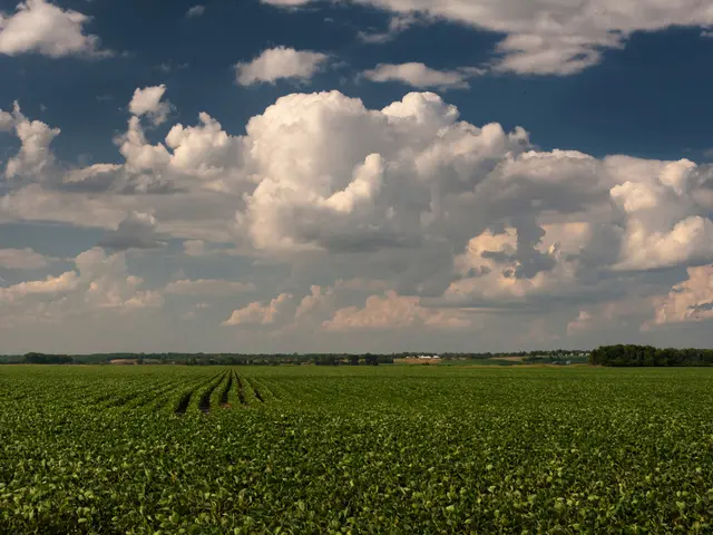 Advantages of School Campuses Dot-Green
