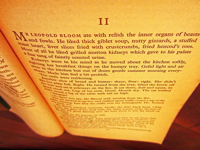 Investigating the foundation of Brosius-Gersdorf's doctoral dissertation at the University of...