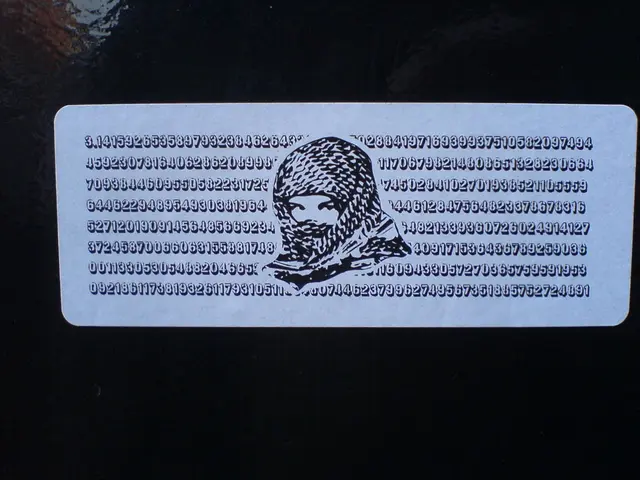 Steps for Coding Newbies: Mastering Coding Online - What's the Process?