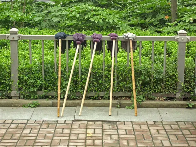 Council Administrations Oversee Motor Vehicle Testing Facilities Exist as a Common Practice