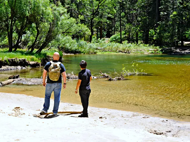 Easy Guide: Setting Up a Savings Account in 7 Simple Steps