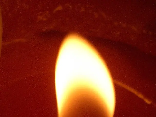 Attending the 13th U.S. National Combustion Gathering: My Personal Account