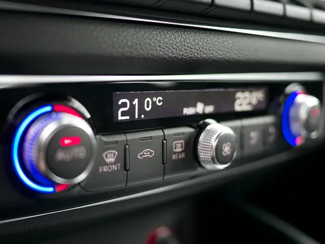 Exploring methods to manage feelings by embracing them: Emotional Regulation Techniques