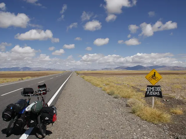 Gazan family's persistent search for their next source of food
