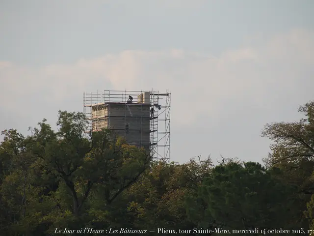 Expansion at Weyer Primary School involves tree removal