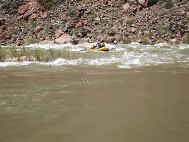 Upcoming Youth Venture Details: Spring Season 2025