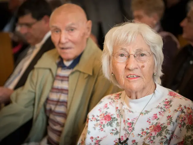 Examining Elder Law Precautions and Multi-Cultural Awareness in Professional Settings