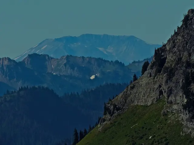 Coach Offers Comfort Instead of Just Listening Today