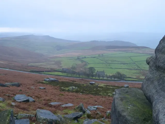 Collaborating with Earth 2025 Foundation partners, initiatives to rejuvenate the arts and fortify...