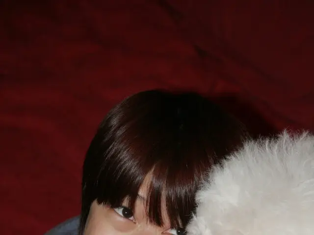 The Emotional Tale of Being a Pet Owner