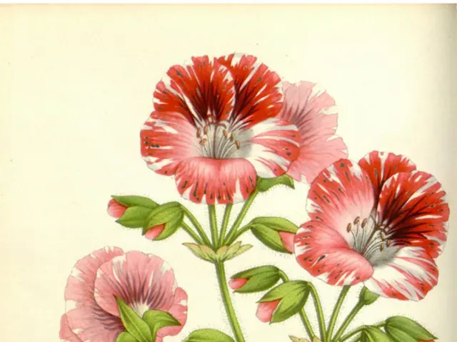 Struggling with the quiet, yet persistent anxiety about one's purpose? Learn strategies to...