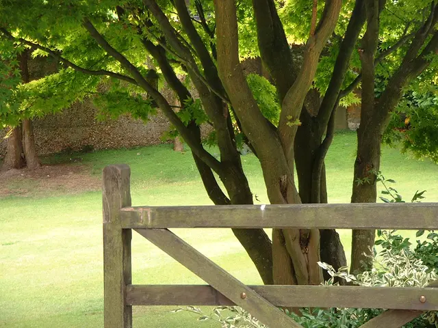 Top 5 Emerging Phenomena Shaping the Sustainable Shift and the Eco-friendly Marketplace