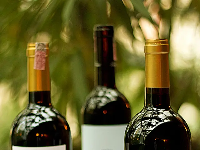 Course Module 5 Analysis: Emerging Concerns and Finishing the Training Program