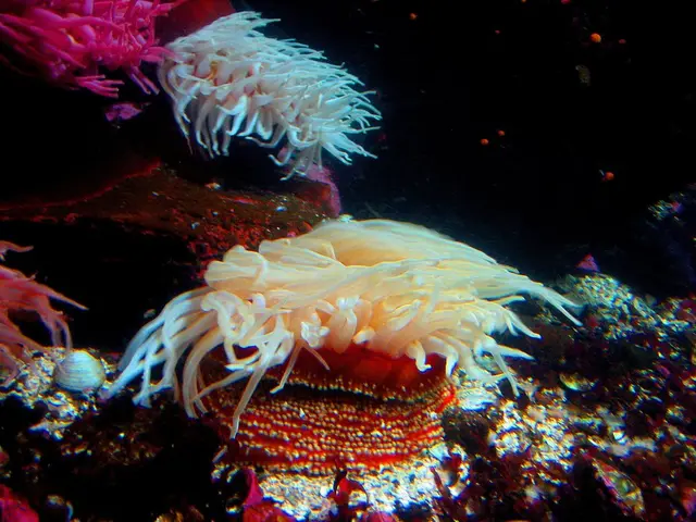 Emerging Prospects for Actuarial Science and the Development of Career Pathways