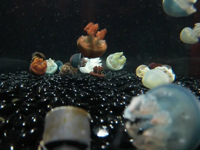 Jellyfish invasion leads to shutdown of nuclear power plant, overrunning coastal areas