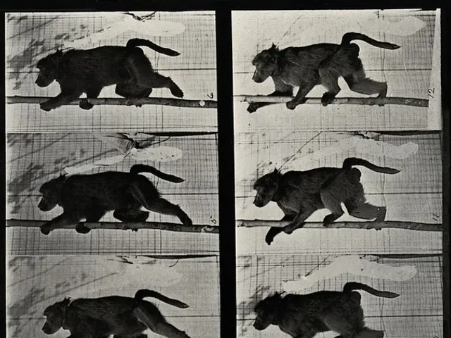 Animal Behavior Can Be Explained through Biomechanical Interactions, Without the Need for Neural...