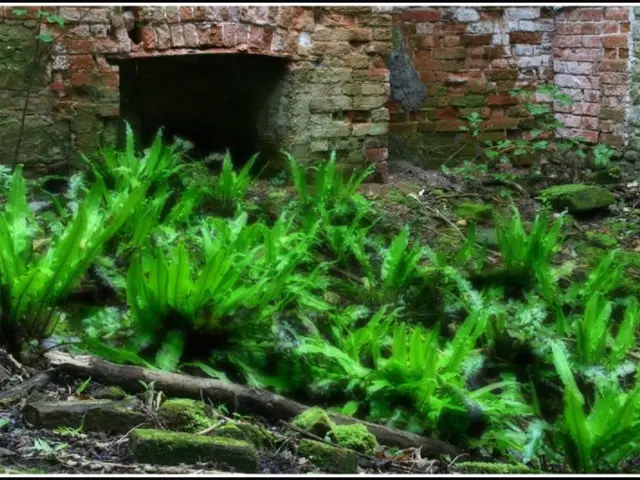 Growing businesses in Estonia are recognizing a stark reality: the government can be relied upon...