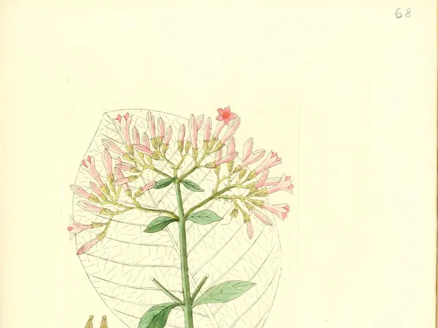 Harnessing the Power of Momentum: Cultivating a Positive Vibe in Your Existence