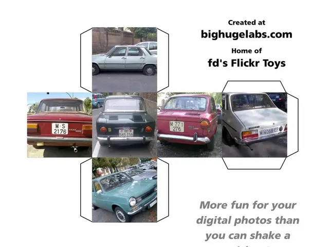 Streamlining Transportation in the Modern World: Tech Innovations Shaping Fleet Management