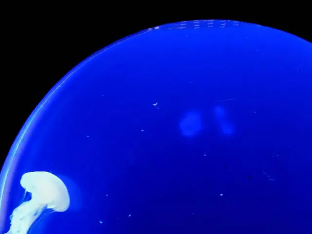 Scripps Postdoctoral Research Opportunities