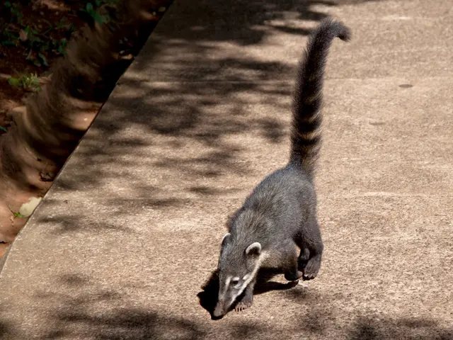 Stomach flu duration: How long before a person's abdomen stops aching?