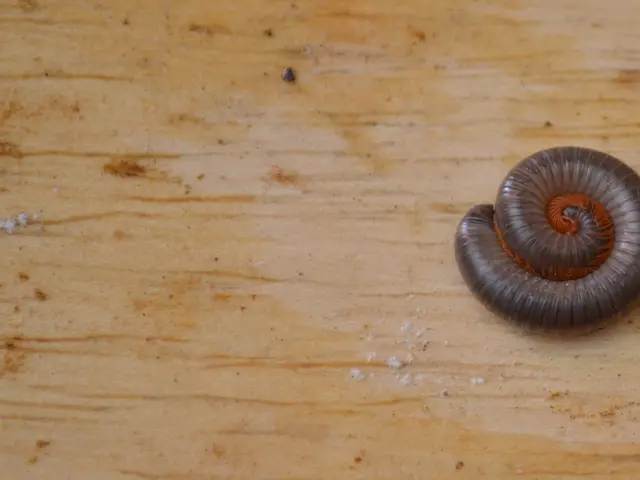 Open Position for Young Professional II at ICAR-IARI, New Delhi