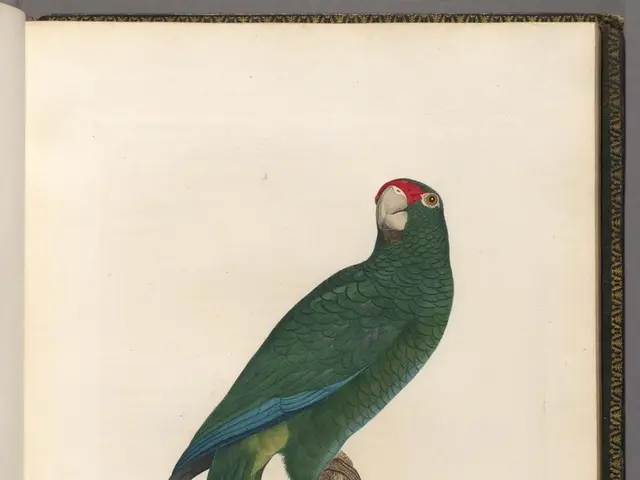 Victorious Mindset Maxims: Sustaining Your Path to Achievement