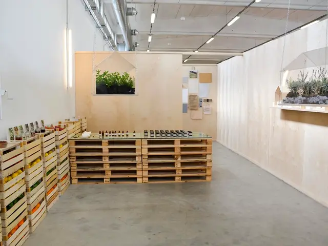 Essential Insights on Aquarium Illumination for Coral Reefs