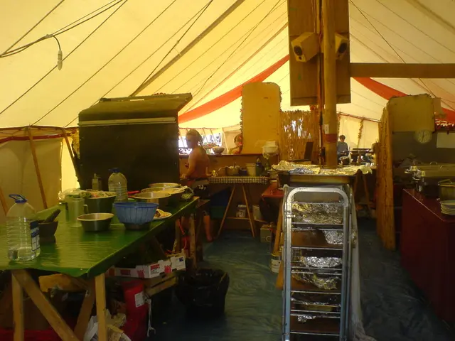 Expensive Hestan ProBond Luxe Skillet Review: Why I Find It Difficult to Return to Economy Pans...