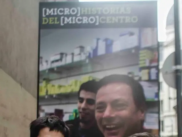 Precise Advertising: Fine-tuned Campaign Advertising in Political Arena