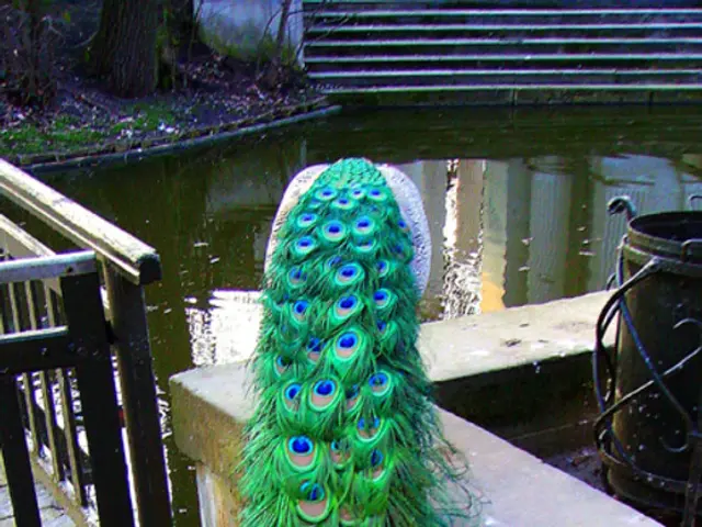 Quantifying Quartile Breakdown: A Detailed Guide