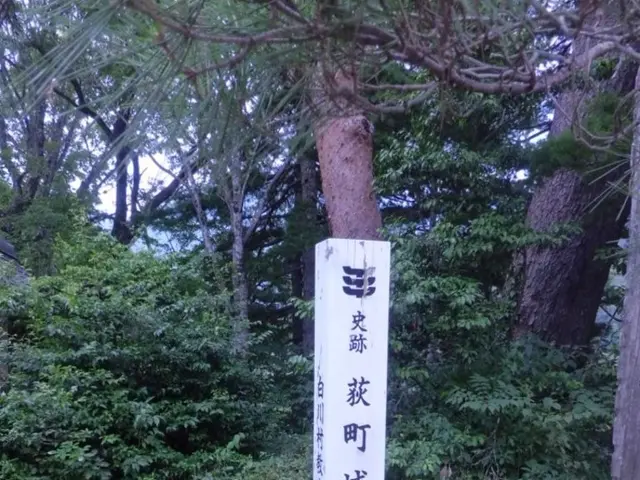 Log4j Zero-Day Vulnerability Threat Revealed: Addressing and Countering CVE-2021-44228