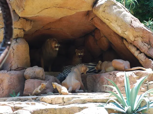 Unveiling the Findings from the Blombos Cave Artifacts